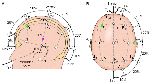 EEG 10-20 reference map